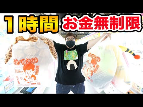 【お金無制限】クレーンゲームで１時間本気で大きい景品だけとったら何個ゲットできるのか？！
